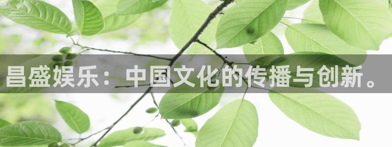 超凡国际下载app