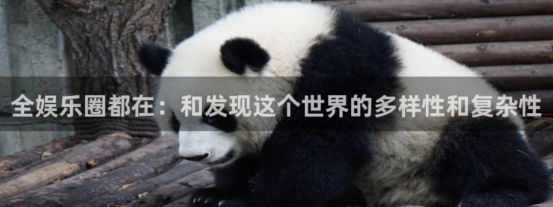 超凡国际