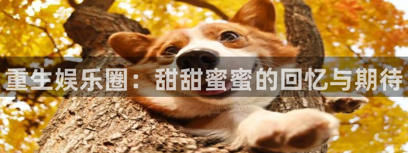 超凡国际下载app
